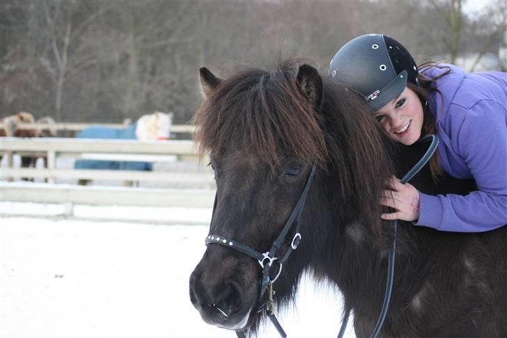 Islænder Josefina frá Vakurstödum  - Josefina & mig elsker dig min skat! billede 1