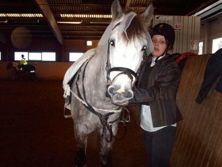 Anden særlig race Rakhan , klubmester 2010  - Mig og Rakhan på vej til spring (fastelavnstævne) vi er brud og grom billede 17