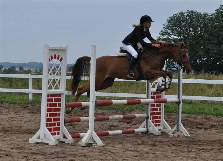 DSP Lille Asserholt Naomi [KLUBMESTER 2011] - 2. stævne på Bébs :) (BOR) **Isabella** billede 9