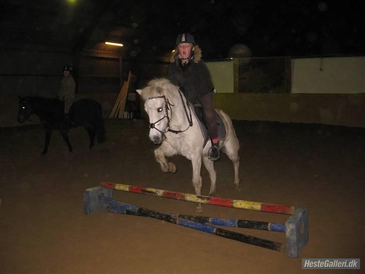 Anden særlig race GUFFI billede 2