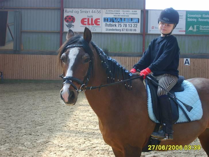 Anden særlig race Max   †DØD†:( - Sløjfestævne billede 7