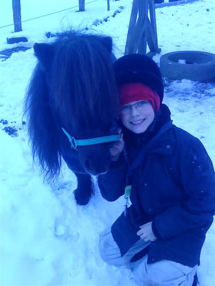 Miniature Skipper R.I.P :'( billede 6