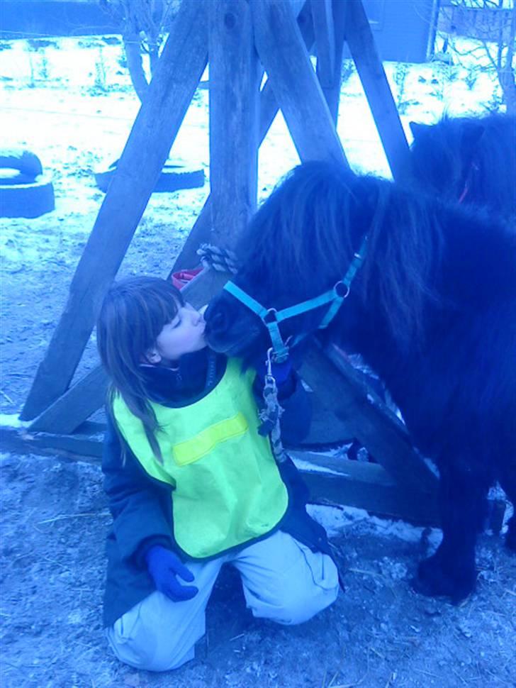 Miniature Skipper R.I.P :'( billede 10