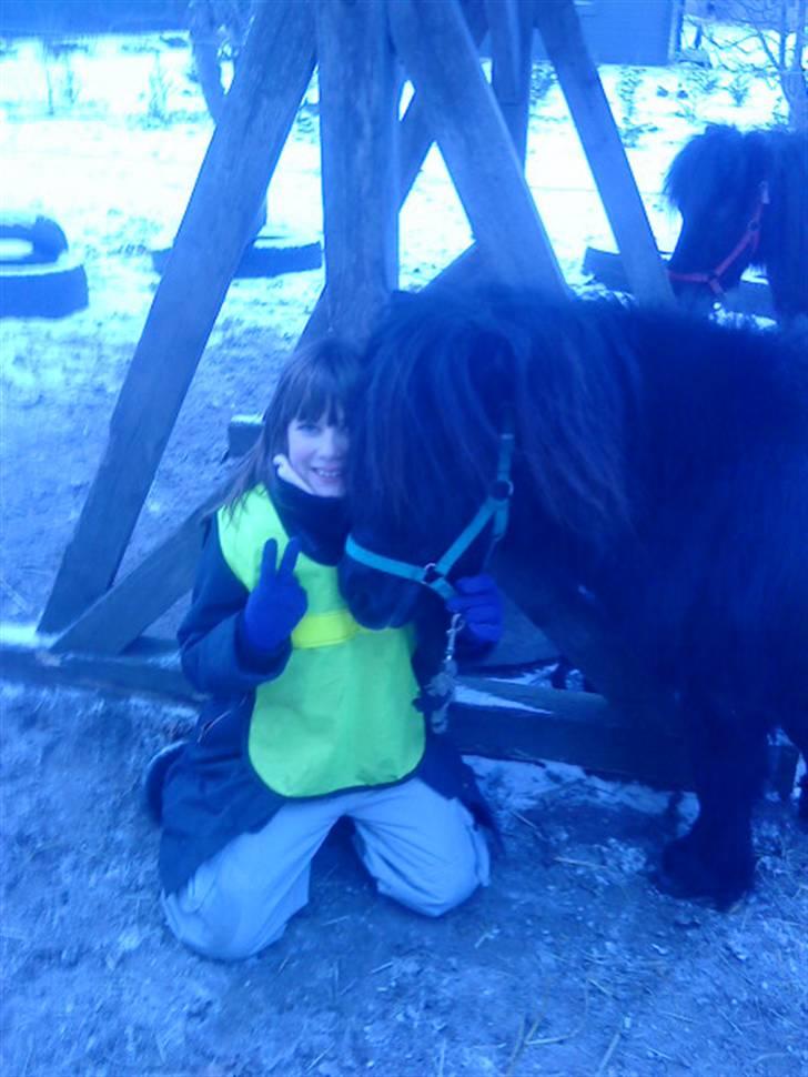 Miniature Skipper R.I.P :'( billede 12