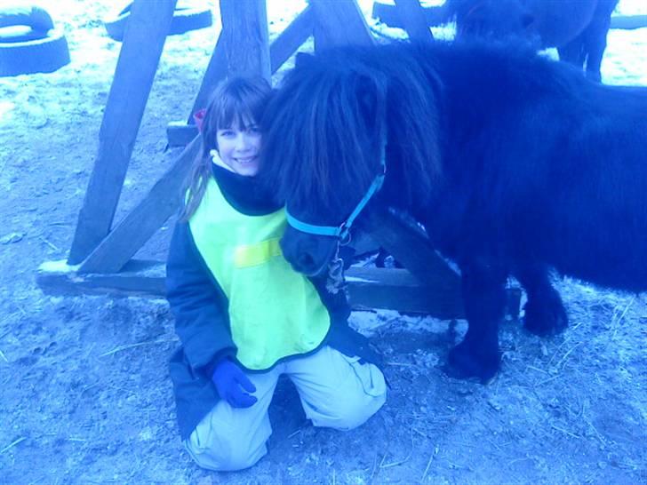 Miniature Skipper R.I.P :'( billede 13