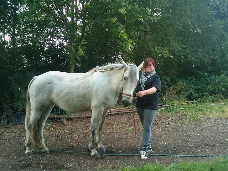 Anden særlig race Savannah R.I.P - savanna - sommeren 2010 billede 2