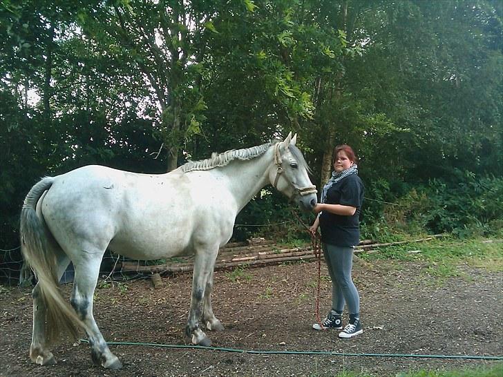 Anden særlig race Savannah R.I.P - savanna i<3 billede 5