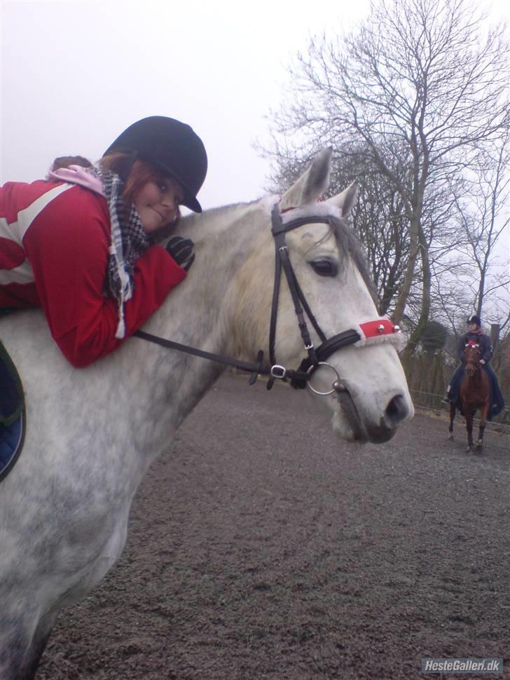 Anden særlig race Savannah R.I.P - mig og savanna til juleoptåg ;D  billede 6