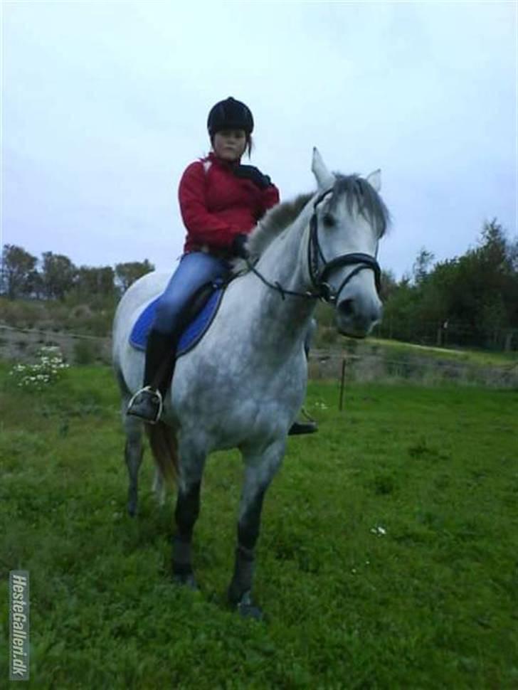 Anden særlig race Savannah R.I.P - savanna - i love you <3 billede 7