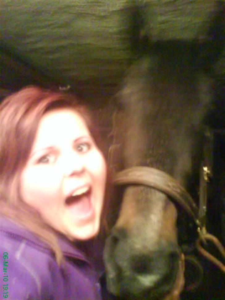 Anden særlig race Twenty (SOLGT) ),: - smukke<3 billede 8