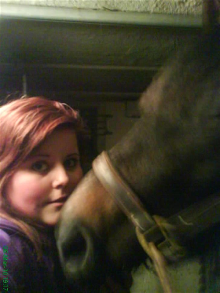 Anden særlig race Twenty (SOLGT) ),: - stalsbilelder<3 billede 10