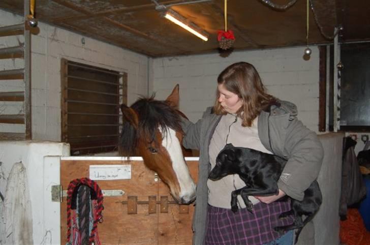 Anden særlig race Umay Be Royal billede 17