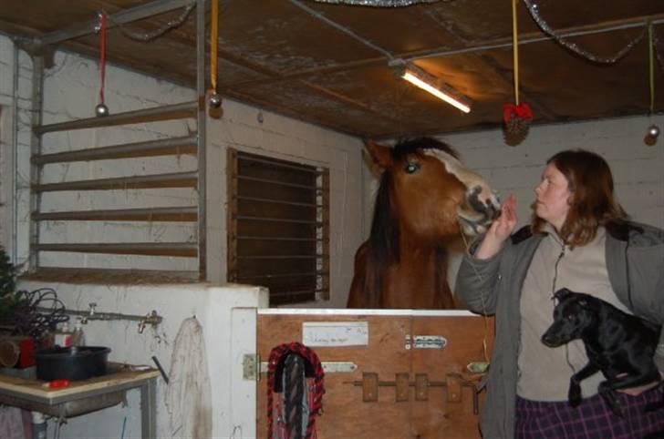 Anden særlig race Umay Be Royal billede 18