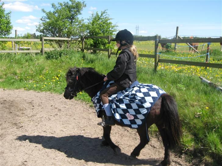 Anden særlig race Tequila. - lun dag men det nye dækken skulle altså prøves<3 billede 9