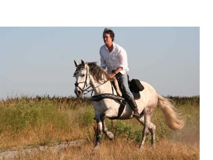 Cruzado Chili † RIP † 01-11-2010- - Sommeren 2007 i DK billede 2