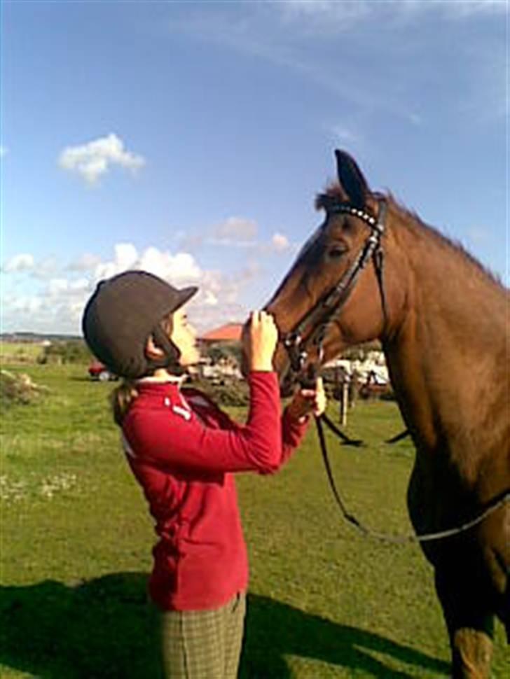 Anden særlig race Alina *R.I.P* billede 9