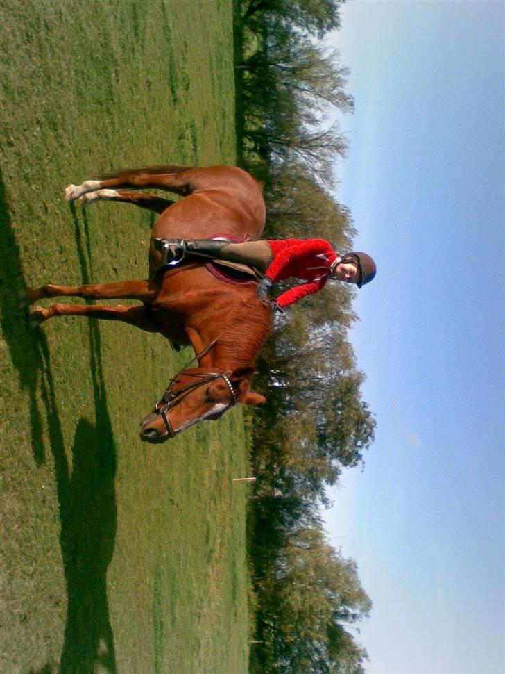 Anden særlig race Alina *R.I.P* billede 10