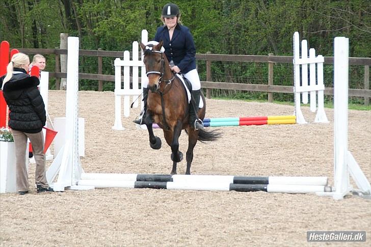 New Forest Florel - SÅ STARTEN GÅET!!!!!!!!!! billede 13