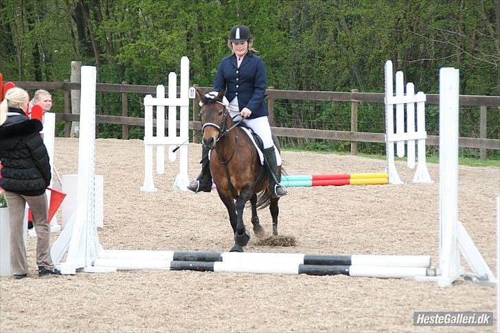 New Forest Florel - I LOVE JUMPING billede 14