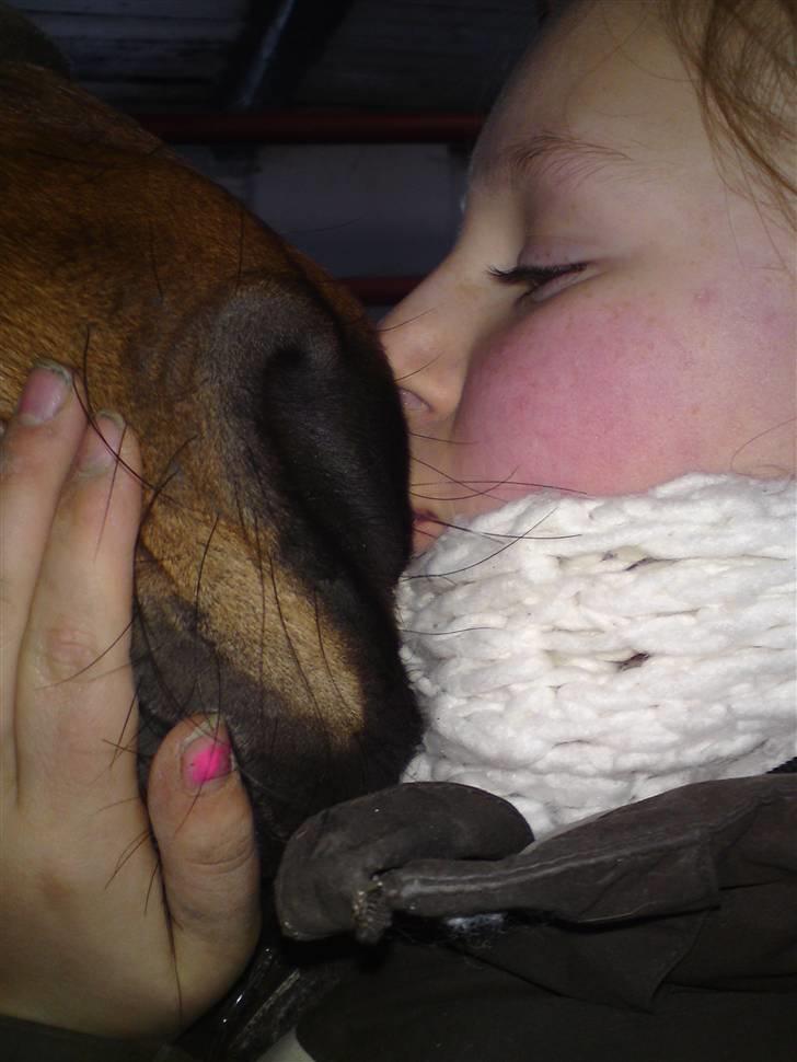 New Forest Florel - i love you!  billede 20