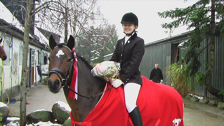 New Forest 1st. Class Prince Albert - Epona klubmester dressur pony! Vores sidste stævne sammen.. Hvil i fred minskat<3  billede 12