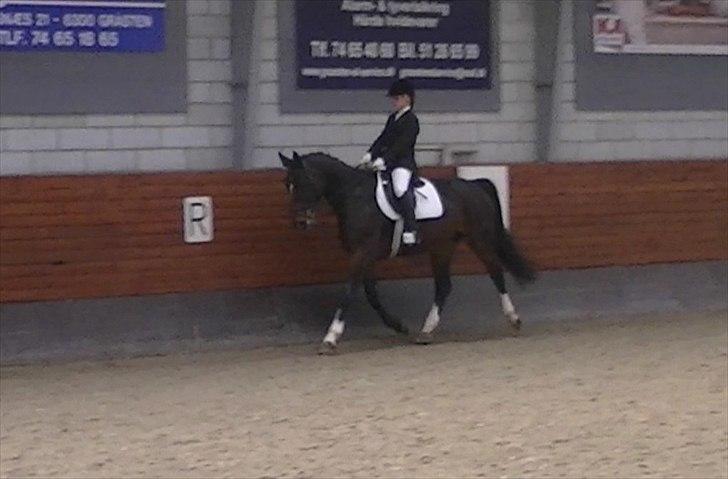 Dansk Varmblod Rinkenæs lucky joy- SOLGT - LA2 Distriktstævne i Gråsten ;D billede 17