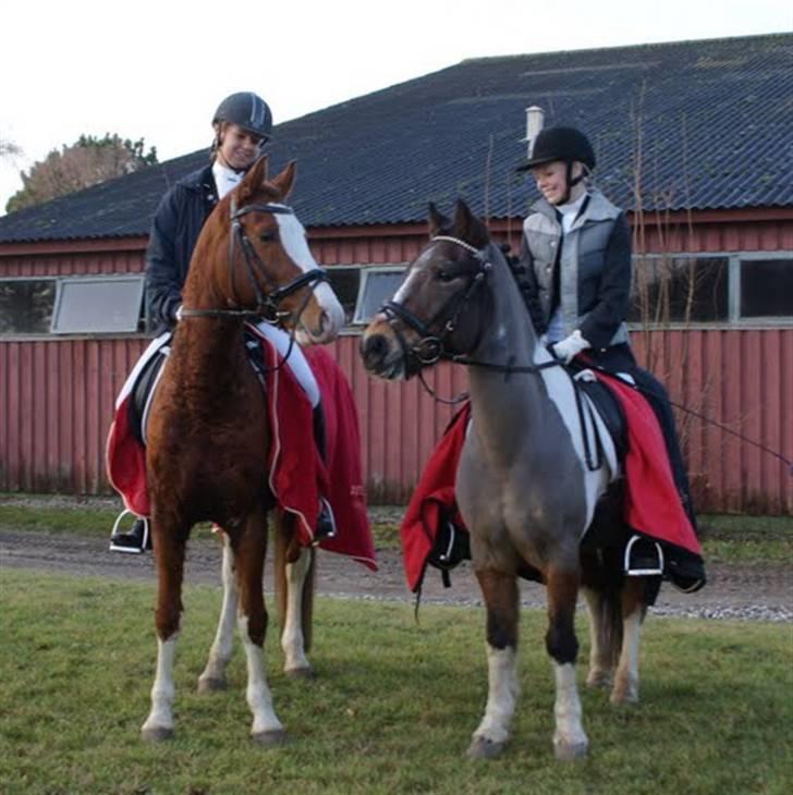 Tysk Sportspony Don Ibrahim "gammel" part <3 - Super godt billede af Emilie & Tippo og Don & jeg! <3 Foto: Rebecca <33 billede 8