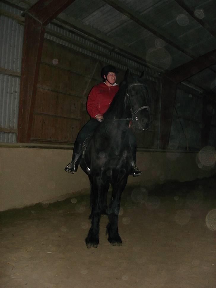 Frieser Aaltje billede 11