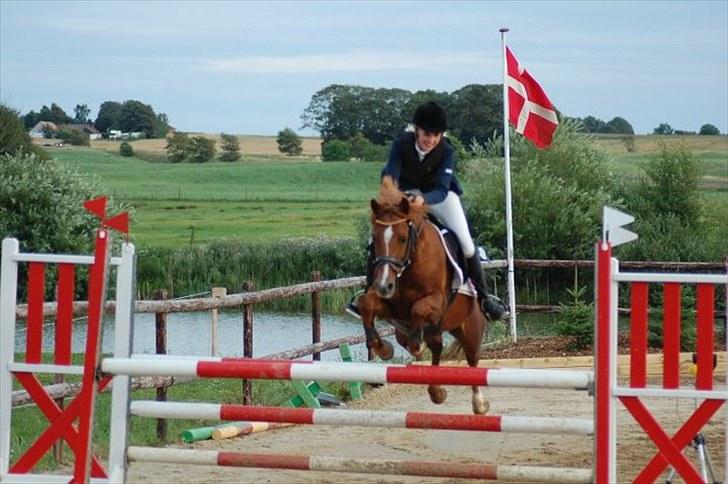 Tysk Sportspony Dakota 195 <3 SOLGT - MB* distriksstævne på hjemmebane - 3 plads :D billede 3