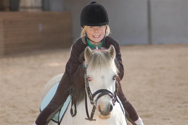 Anden særlig race Carlos<3 *gammel Passer* - vil altid være din.. føler mig jo tom uden diig!!! <33 Carlos - Trine = ALT!! billede 13