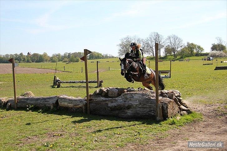 Welsh Pony (sec B) Søborggårds Romance *part* :D <3 - Military-stævne på SØG - terrændelen! xD Fordi man ikke kan andet end at elske dig! <3 billede 7