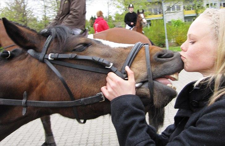 Welsh Pony (sec B) Søborggårds Romance *part* :D <3 - Til min konfirmation! xD <3 Fordi man ikke kan andet end at elske dig! <3 billede 8