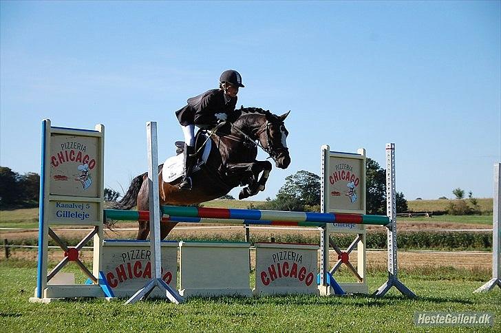 Welsh Pony (sec B) Søborggårds Romance *part* :D <3 - Military-stævne på SØG - springdelen xD <3 Fordi man ikke kan andet end at elske dig! <3 billede 10