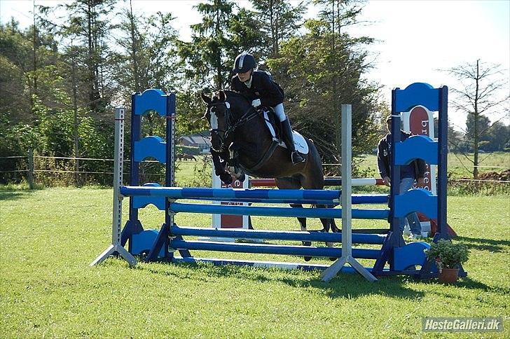 Welsh Pony (sec B) Søborggårds Romance *part* :D <3 - Military-stævne på SØG - springdelen xD <3 Fordi man ikke kan andet end at elske dig! <3 billede 4