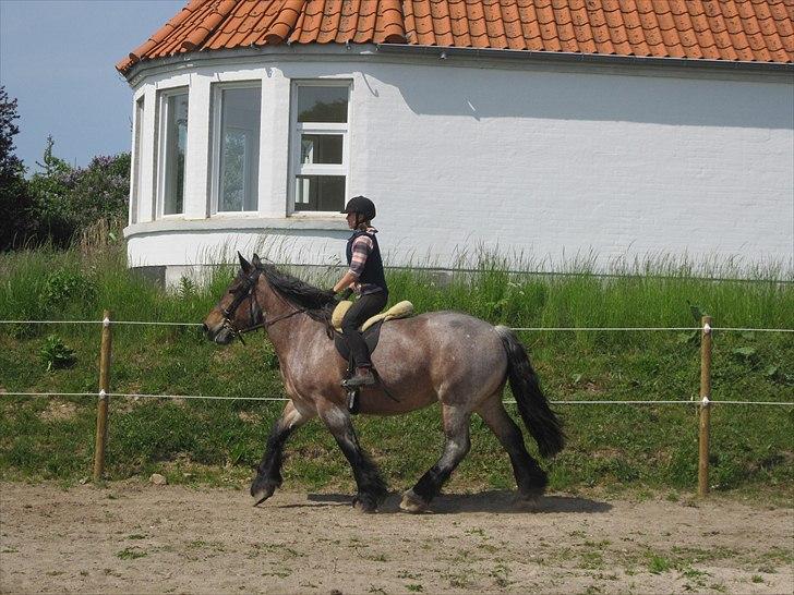 Belgier Mette Støvringgård  - Velkommen til Mettes profil <3 kig jer´omkring <3 billede 2