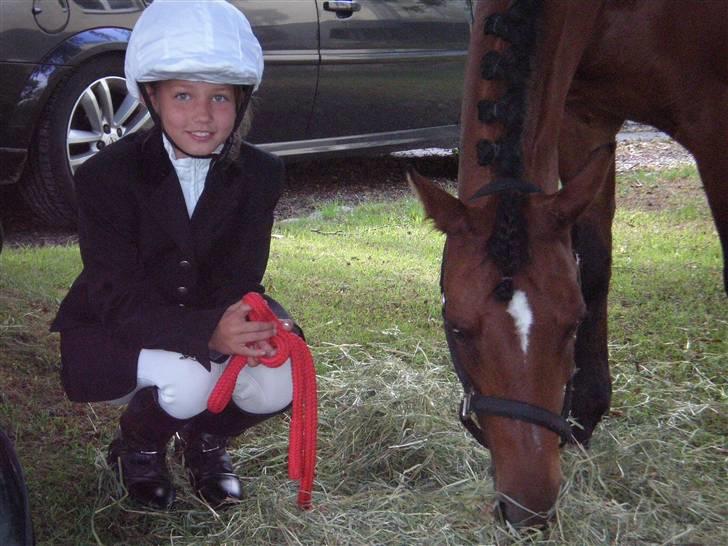 Anden særlig race Surviver SOLGT - Klar til Sønderborg ringridning. billede 2