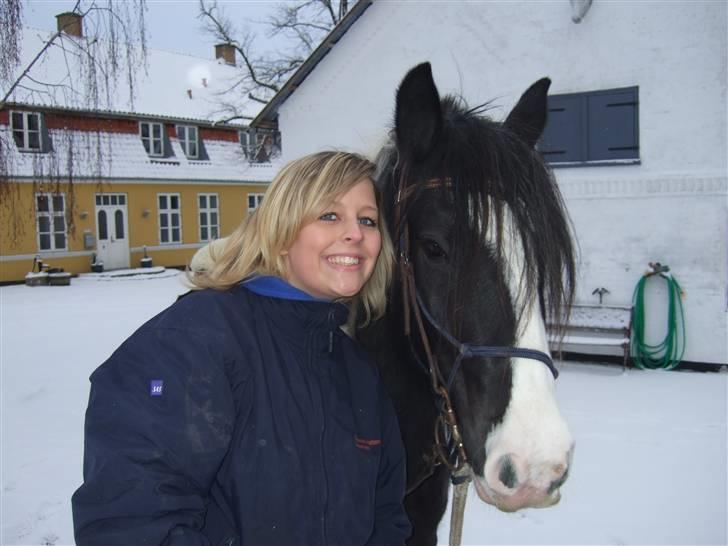 Irish Cob Kavanaugh/Kavanaugh'ty ;) - På vej du på tur med Bjerg´geden og tøserne :P billede 1
