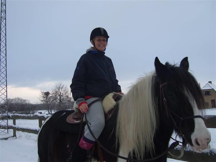 Irish Cob Kavanaugh/Kavanaugh'ty ;) - Så kom vi op på Koen xD billede 2