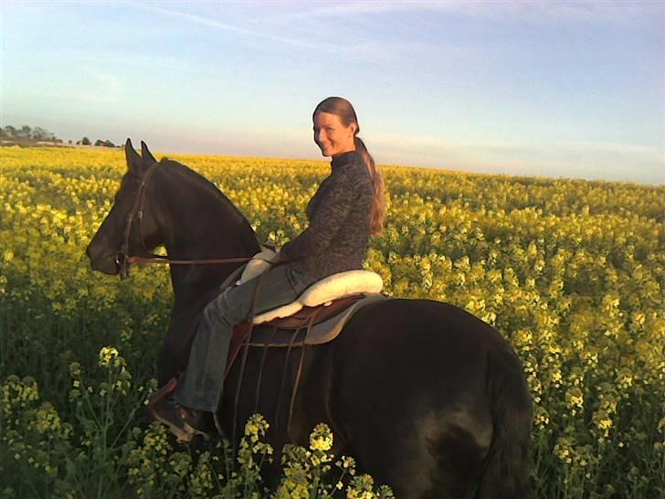 Frieser Tjetske fan de deen billede 4