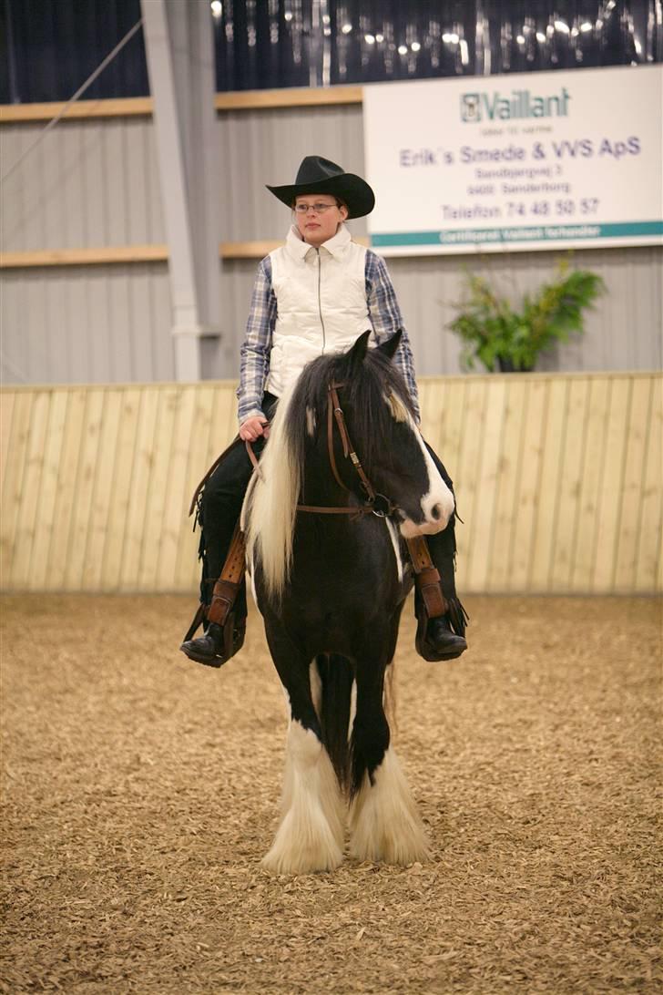 Irish Cob Kavanaugh/Kavanaugh'ty ;) billede 14