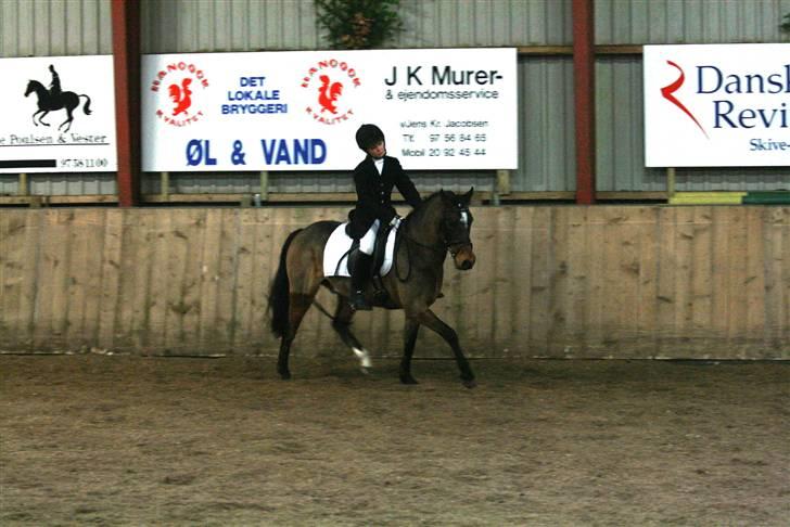 Anden særlig race Dyrkærgårds Atlantis - Vi laver lige en 20 m volte. fotograf. Per bentzen billede 2