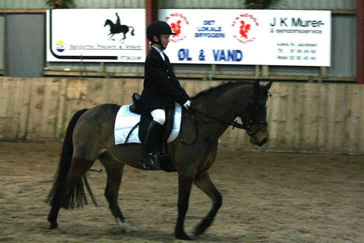 Anden særlig race Dyrkærgårds Atlantis - Atlantis og mig til stævne. fotograf. Per bentzen billede 4