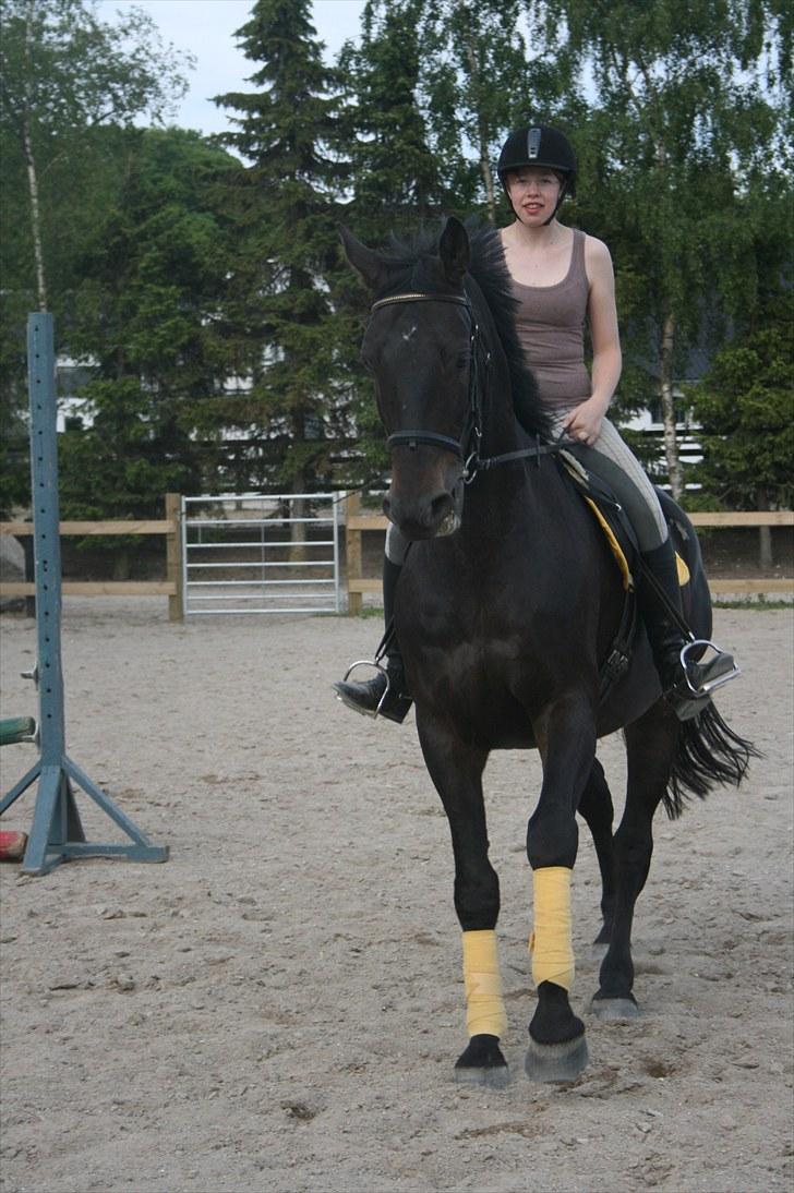 Anden særlig race Brøderups Brimer billede 4