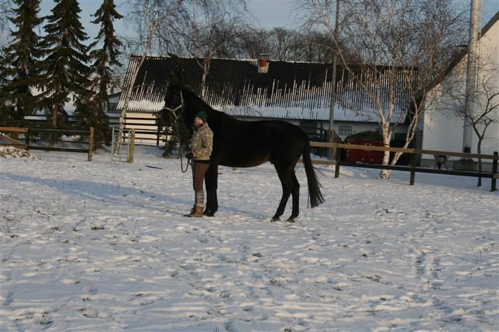 Anden særlig race Brøderups Brimer billede 6