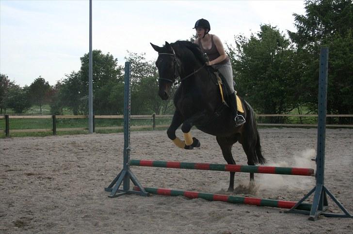 Anden særlig race Brøderups Brimer billede 7