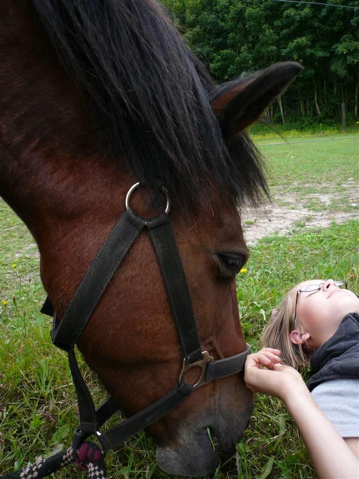 Dartmoor Molly - Mig og Molly :) billede 4