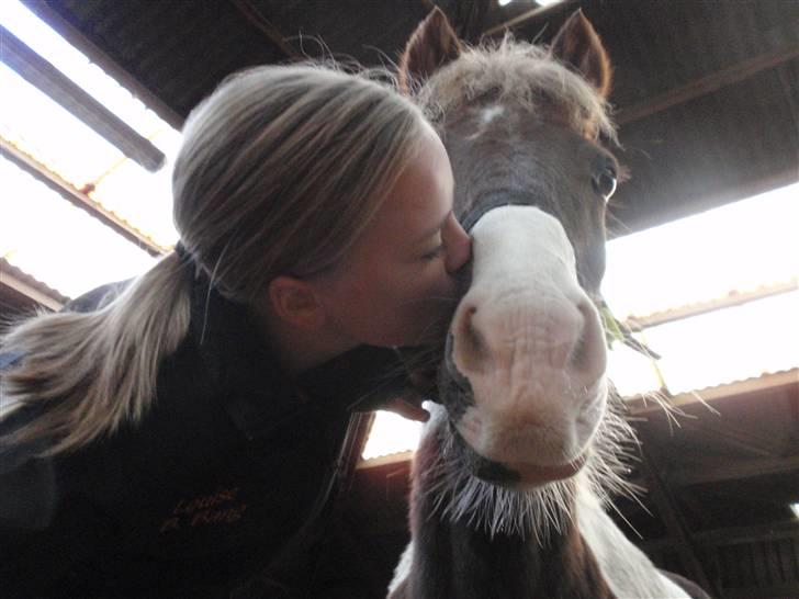 Anden særlig race indianajones!<3 R.I.P :'( billede 19