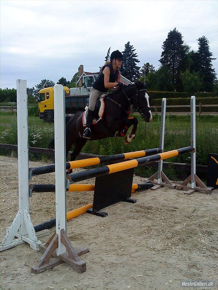 Anden særlig race Black Beauty  - Sidste gang vi sprang<3.. :´) Miss you pony<3  billede 11