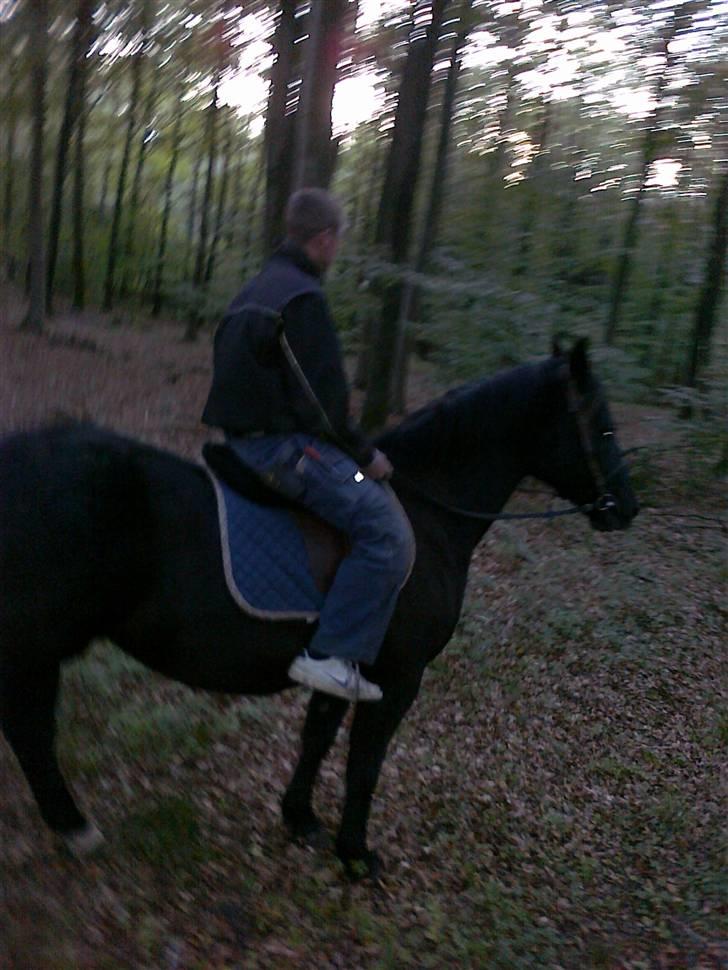 Oldenborg Faye Lyngbo billede 13