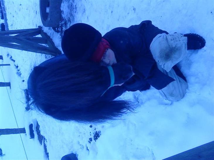 {{currentPhoto.altText}} billede {{currentPhoto.number}}